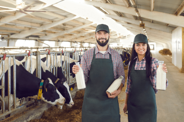 male and female holding milk with cows